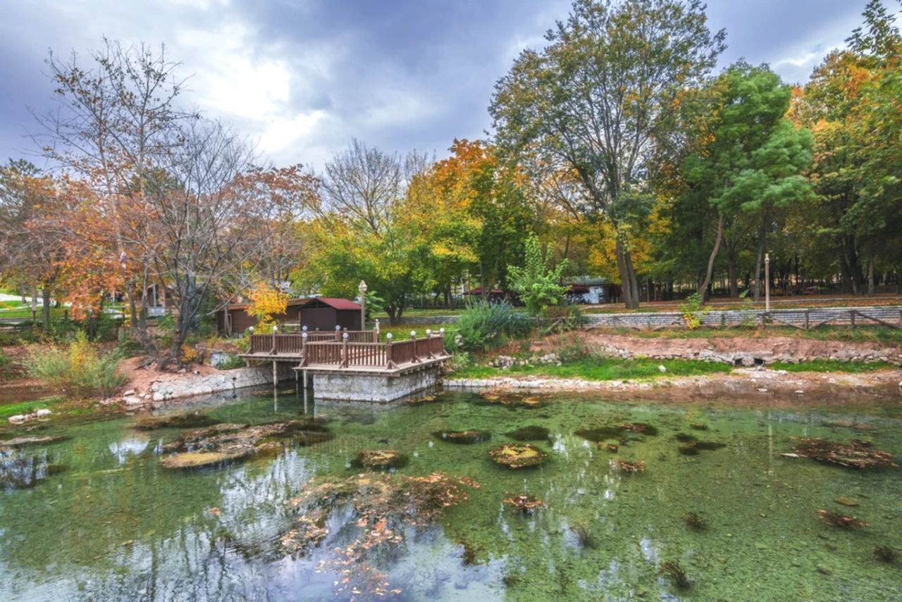 Herkes Memleketine Dönse Türkiye'nin En Kalabalık İli Hangisi Olurdu? TÜİK Verisi Şaşırttı: İstanbul Sadece 3'üncü, Malatya 20'nci Sırada