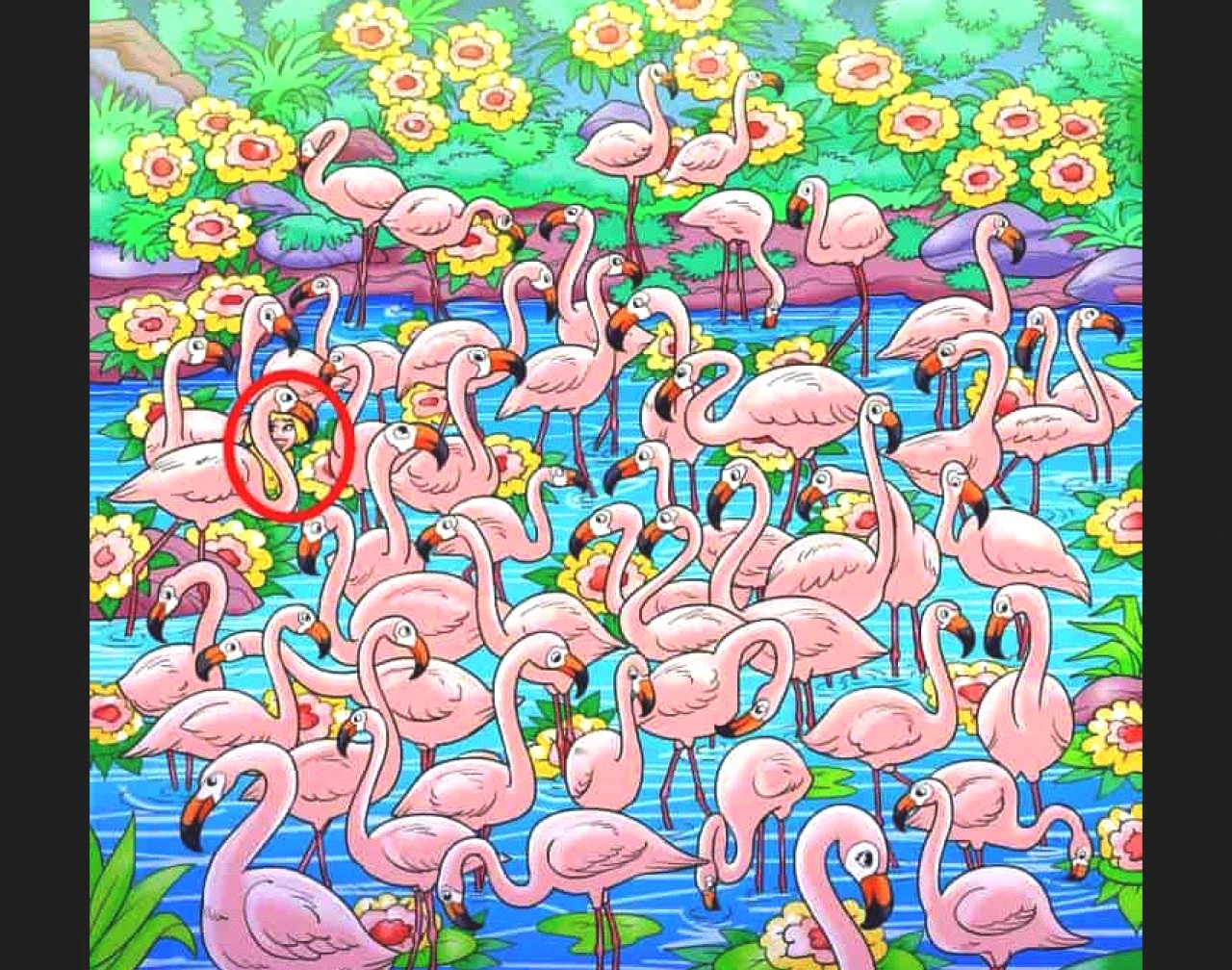 Flamingoların Arasında Bir Kız Saklı! 5 Saniyede Bulan Dikkat Dahisi