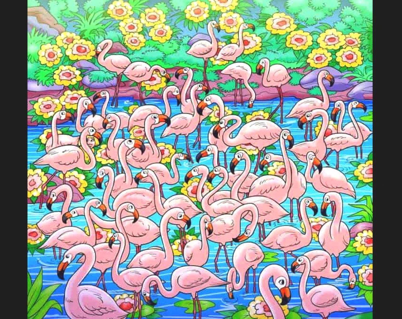 Flamingoların Arasında Bir Kız Saklı! 5 Saniyede Bulan Dikkat Dahisi
